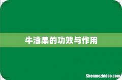 牛油果的功效与作用