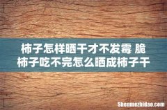 柿子怎样晒干才不发霉 脆柿子吃不完怎么晒成柿子干