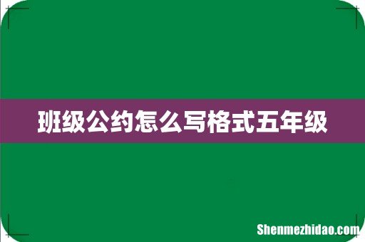 班级公约怎么写格式五年级