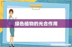 绿色植物的光合作用