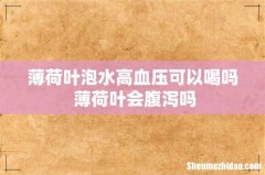 薄荷叶泡水高血压可以喝吗 薄荷叶会腹泻吗