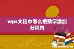 wps文档中怎么把数字添加分隔符