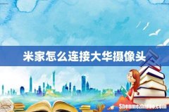 米家怎么连接大华摄像头