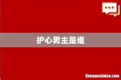 护心男主是谁