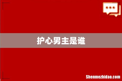 护心男主是谁