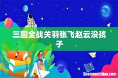 三国全战关羽张飞赵云没孩子