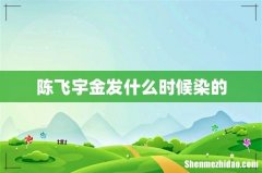 陈飞宇金发什么时候染的