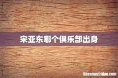 宋亚东哪个俱乐部出身