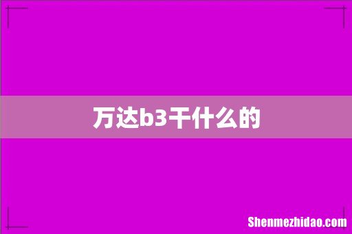 万达b3干什么的