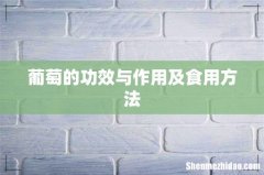 葡萄的功效与作用及食用方法