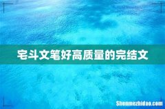 宅斗文笔好高质量的完结文