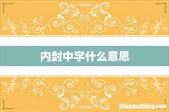内封中字什么意思