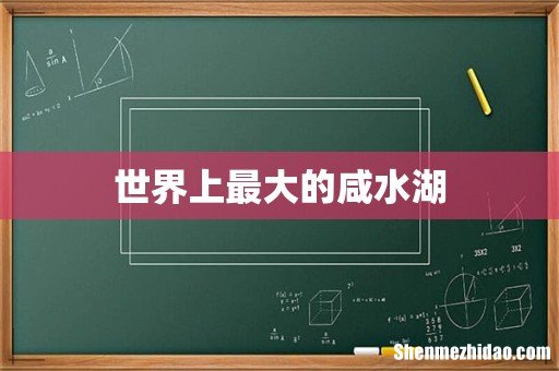 世界上最大的咸水湖
