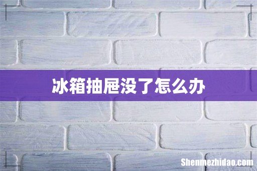 冰箱抽屉没了怎么办