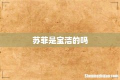 苏菲是宝洁的吗