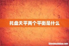 托盘天平两个平衡是什么
