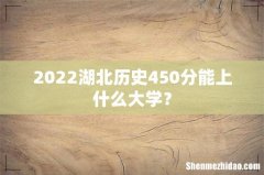 2022湖北历史450分能上什么大学？