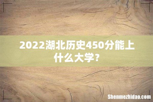 2022湖北历史450分能上什么大学?