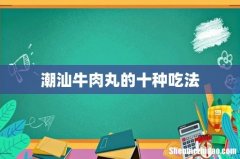 潮汕牛肉丸的十种吃法