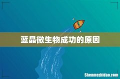 蓝晶微生物成功的原因