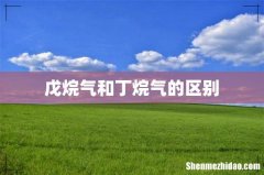 戊烷气和丁烷气的区别