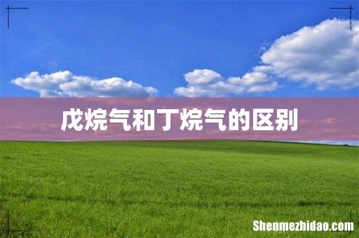 戊烷气和丁烷气的区别