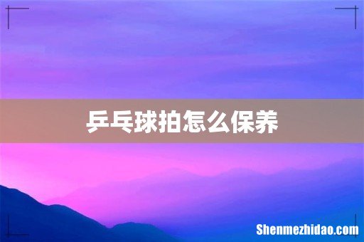 乒乓球拍怎么保养