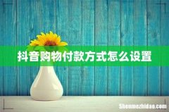 抖音购物付款方式怎么设置