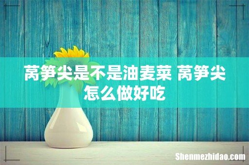 莴笋尖是不是油麦菜 莴笋尖怎么做好吃