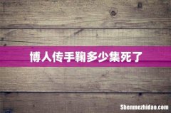 博人传手鞠多少集死了