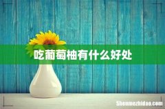 吃葡萄柚有什么好处