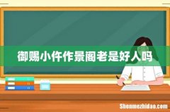 御赐小仵作景阁老是好人吗