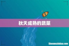 秋天成熟的蔬菜