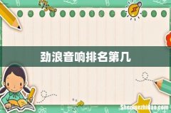 劲浪音响排名第几