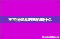 王宝强盗墓的电影叫什么