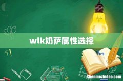 wlk奶萨属性选择