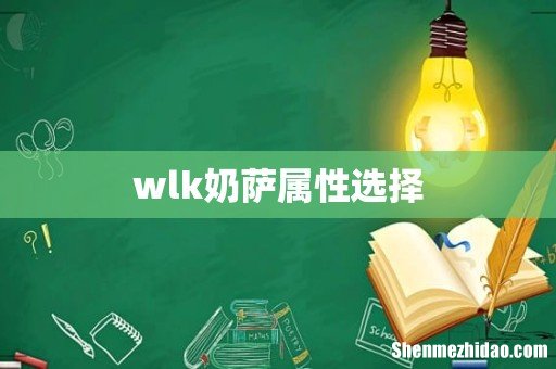 wlk奶萨属性选择