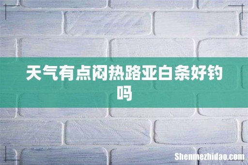 天气有点闷热路亚白条好钓吗