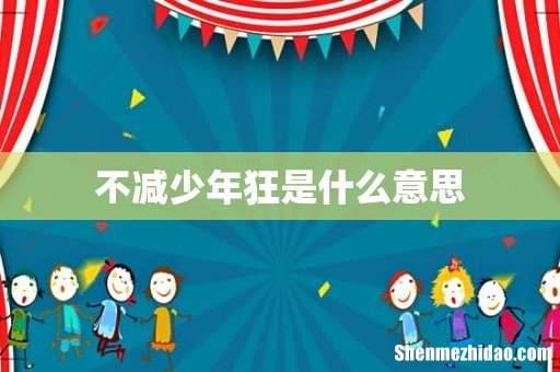 不减少年狂是什么意思