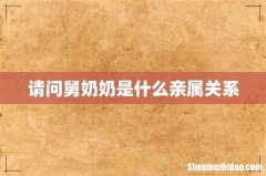 请问舅奶奶是什么亲属关系