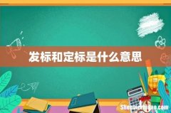 发标和定标是什么意思