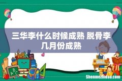 三华李什么时候成熟 脱骨李几月份成熟