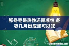 鲜冬枣是热性还是凉性 冬枣几月份成熟可以吃