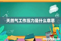 天然气工作压力是什么意思