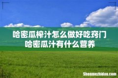 哈密瓜榨汁怎么做好吃窍门 哈密瓜汁有什么营养