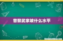 曾黎武家坡什么水平