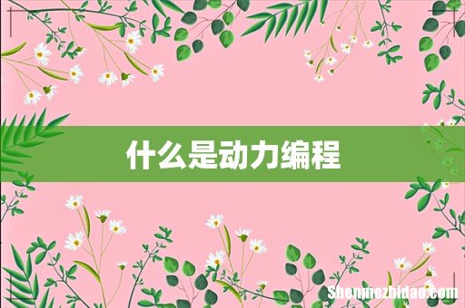 什么是动力编程