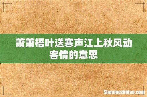 萧萧梧叶送寒声江上秋风动客情的意思