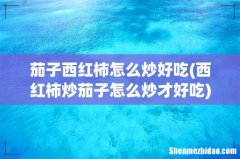 西红柿炒茄子怎么炒才好吃 茄子西红柿怎么炒好吃
