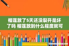 榴莲放了5天还没裂开是坏了吗 榴莲放到什么程度就可以吃了